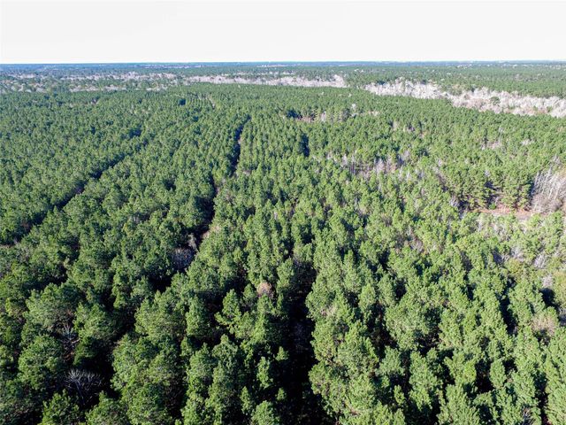 723 Mike Road, Livingston, TX 77351