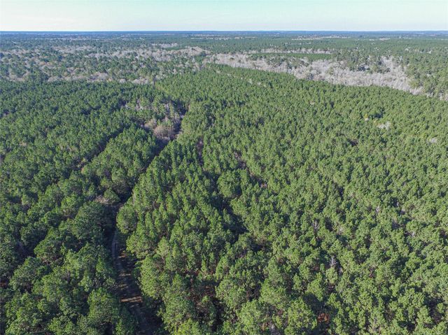 723 Mike Road, Livingston, TX 77351