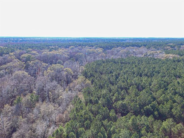 723 Mike Road, Livingston, TX 77351