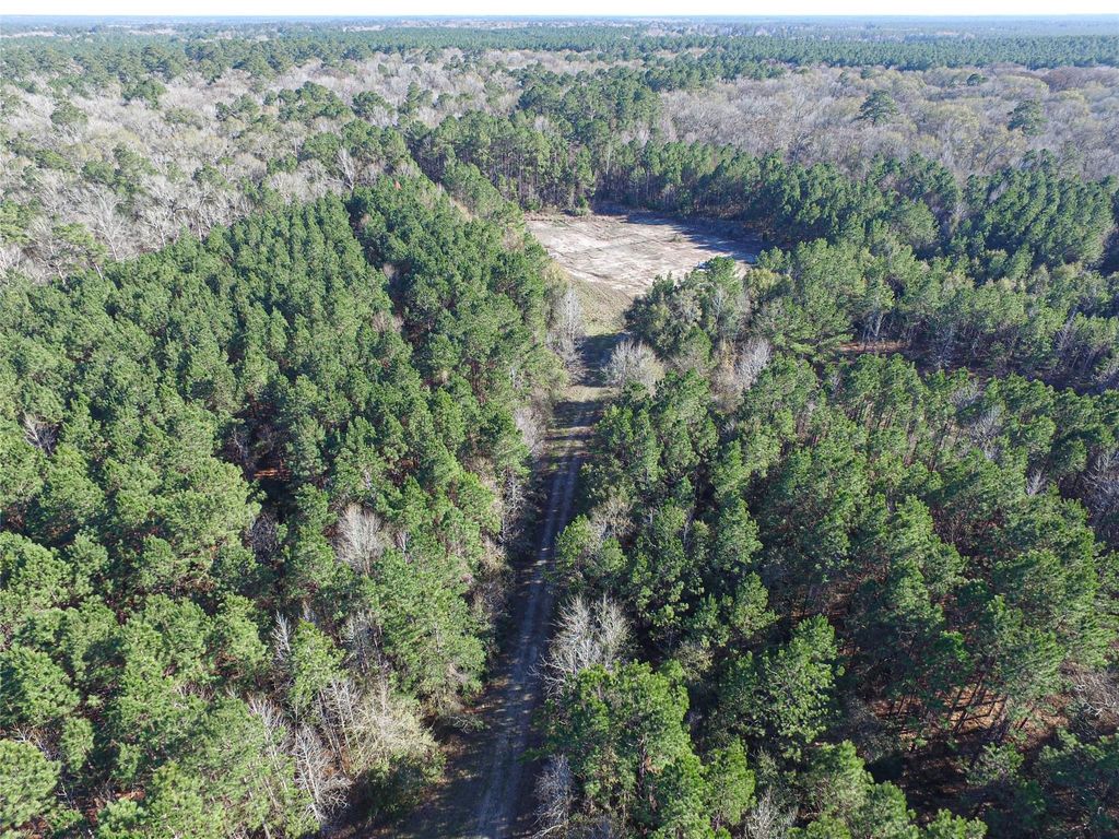 723 Mike Road, Livingston, TX 77351