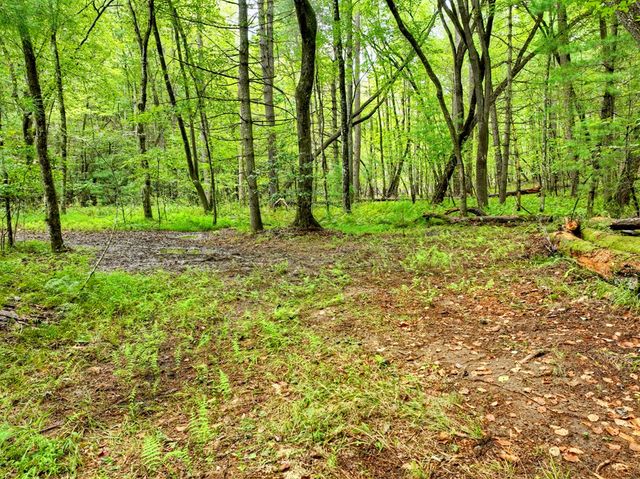 Lot 44 Synacia Drive, Mineral Bluff, GA 30559