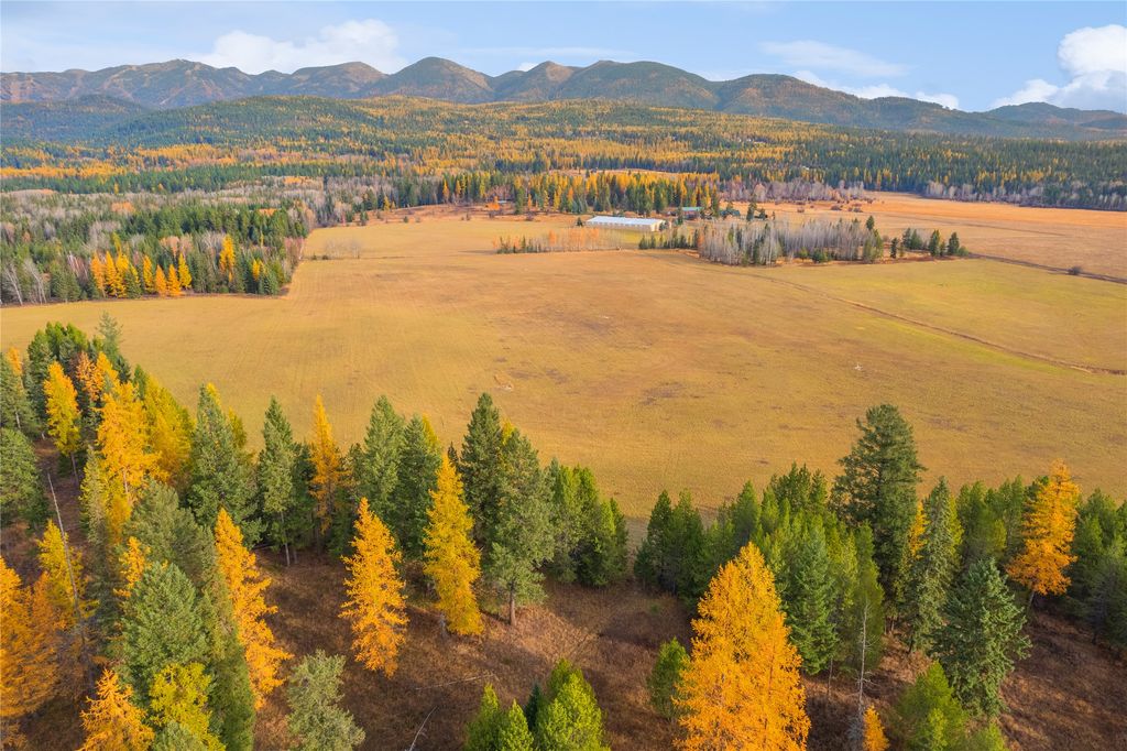 207 Wilhelm Way, Whitefish, MT 59937 photo 16