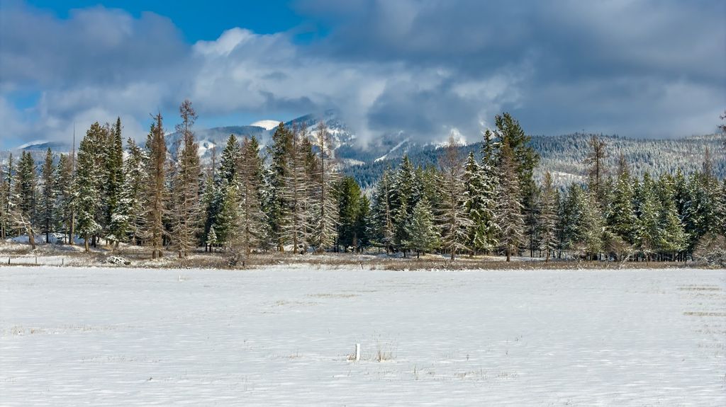 207 Wilhelm Way, Whitefish, MT 59937 photo 2