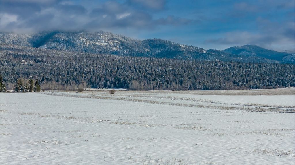 207 Wilhelm Way, Whitefish, MT 59937 photo 3