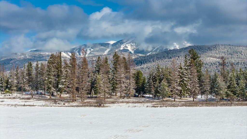 207 Wilhelm Way, Whitefish, MT 59937 photo 4