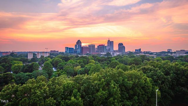 1103 Alfonso Lane Dt-E2, Durham, NC 27703