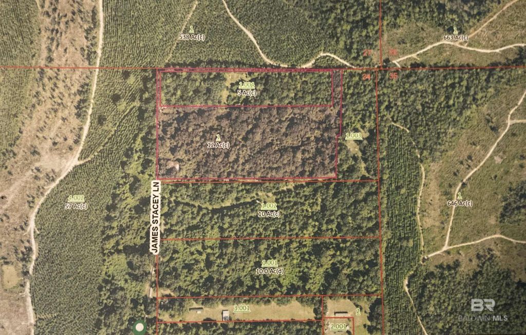 35900 James Stacey Lane, Stapleton, AL 36578