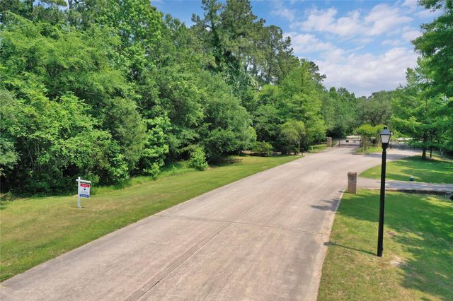 6 Kings River Court, Houston, TX 77346