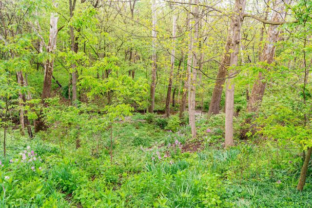 1484 Carriage Road, Powell, OH 43065