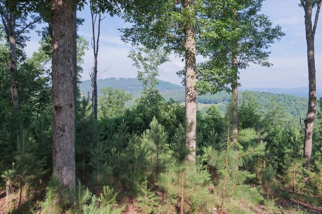 90 Winding Ridge, Blairsville, GA 30512