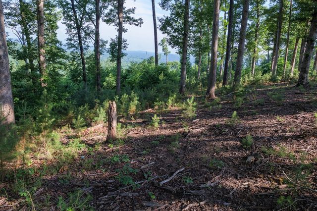 90 Winding Ridge, Blairsville, GA 30512