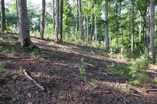 90 Winding Ridge, Blairsville, GA 30512