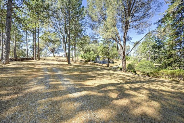 2831 Derrick Dr, Greenwood, CA 95635