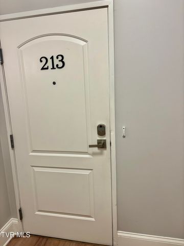 116 Tipton Street Apt 213, Johnson City, TN 37604