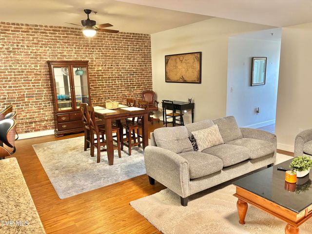 116 Tipton Street Apt 213, Johnson City, TN 37604