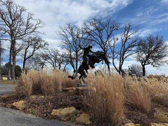 2 Summit Oaks Circle, Denison, TX 75020