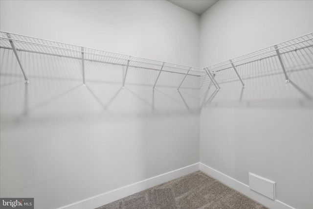 115 TRELLIS VIEW LN, Winchester, VA 22602