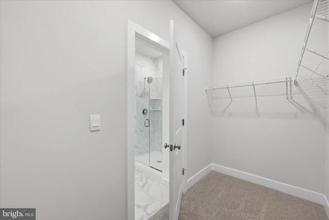 115 TRELLIS VIEW LN, Winchester, VA 22602