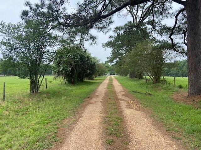 17139 Cr 319, Navasota, TX 77868