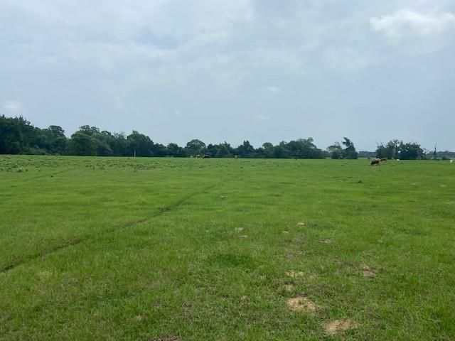 17139 Cr 319, Navasota, TX 77868