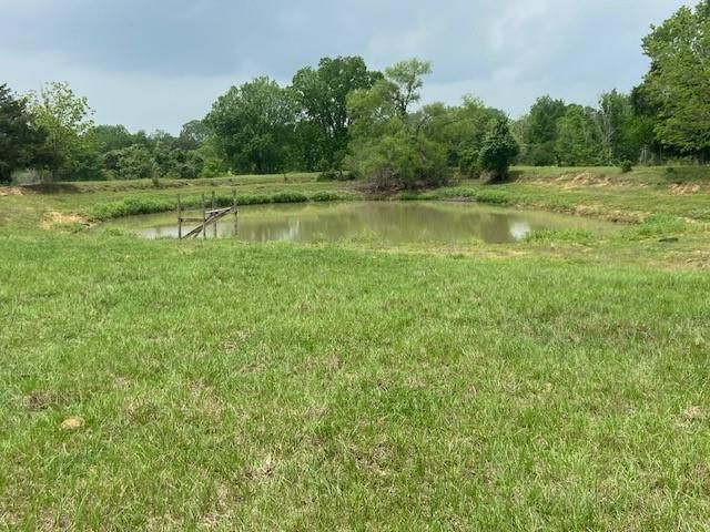 17139 Cr 319, Navasota, TX 77868