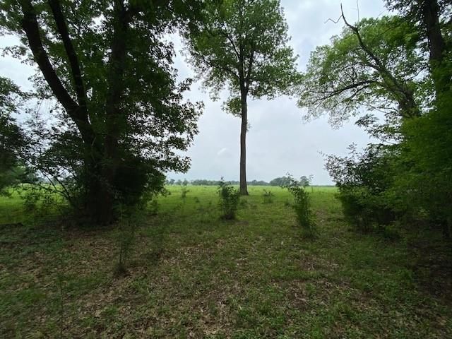 17139 Cr 319, Navasota, TX 77868