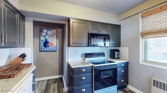 11820 Edgewater Drive 110, Lakewood, OH 44107