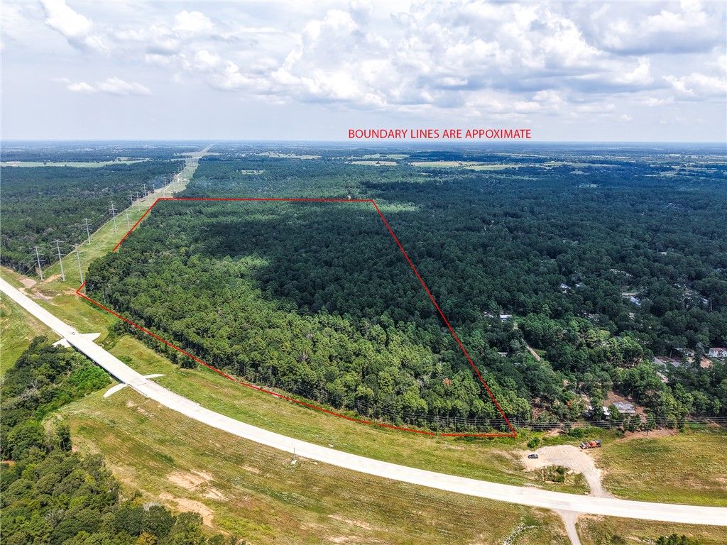 TBD Aggie Expressway 249 Highway, Plantersville, TX 77363 — photo 2