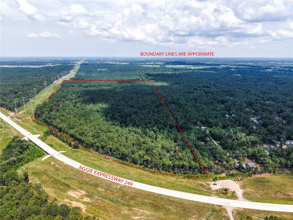 TBD Aggie Expressway 249 Highway, Plantersville, TX 77363 — photo 5