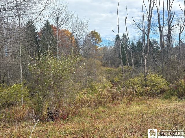 13 Fox Road, East Otto, NY 14729