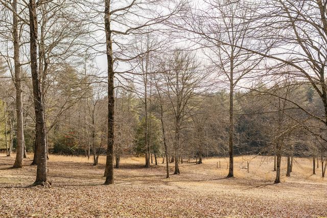 94 Old Place Drive, Blue Ridge, GA 30513