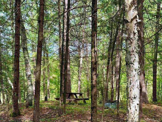 3870 N M 30 Road, Gladwin, MI 48624