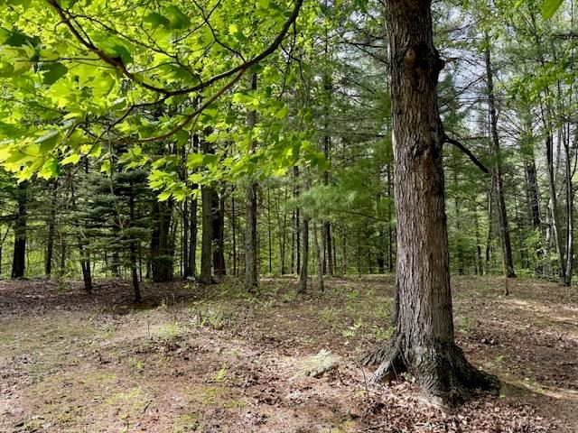 3870 N M 30 Road, Gladwin, MI 48624