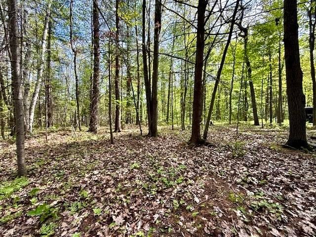 3870 N M 30 Road, Gladwin, MI 48624