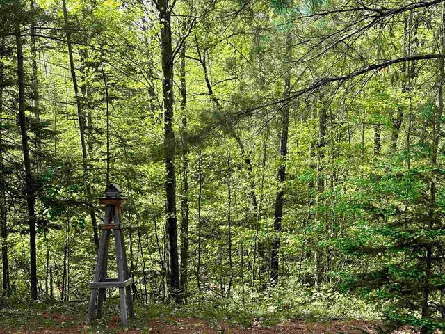 3870 N M 30 Road, Gladwin, MI 48624