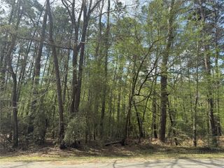 126 Green Tree Drive, Coldspring, TX 77331