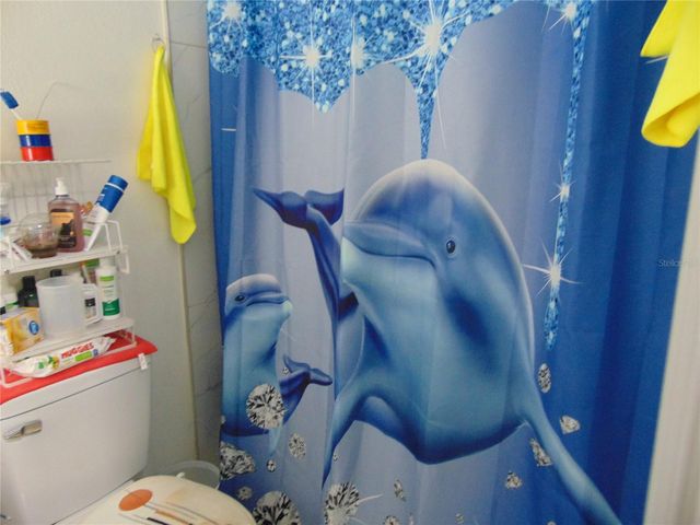 11532 HAMMOCKS GLADE DRIVE, Riverview, FL 33569