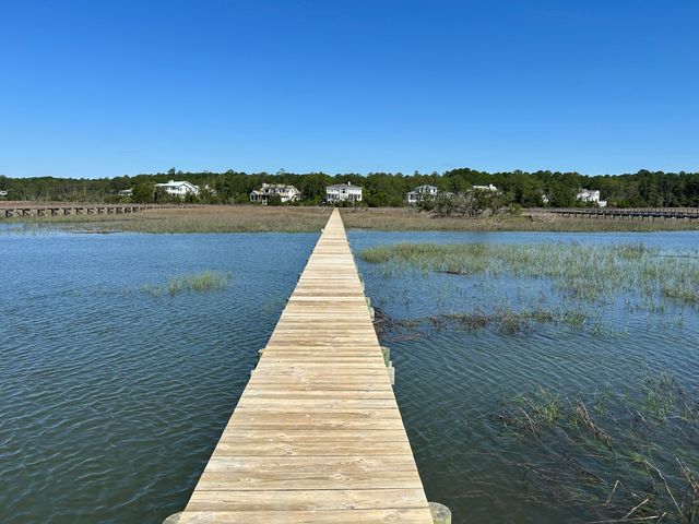 547 Little Barley Lane, Charleston, SC 29492