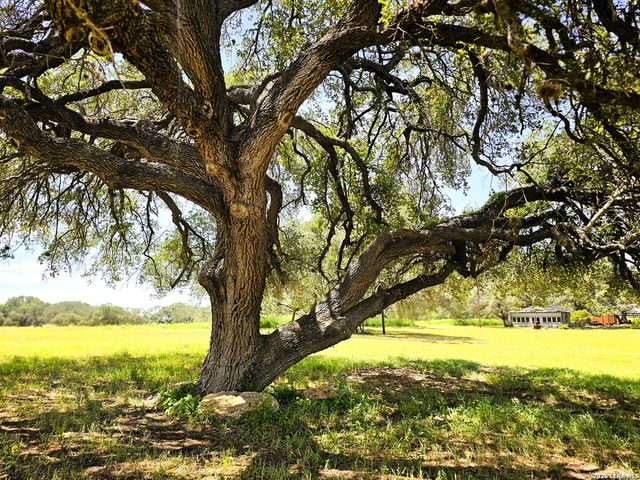 799 County Road 6612, Devine, TX 78016