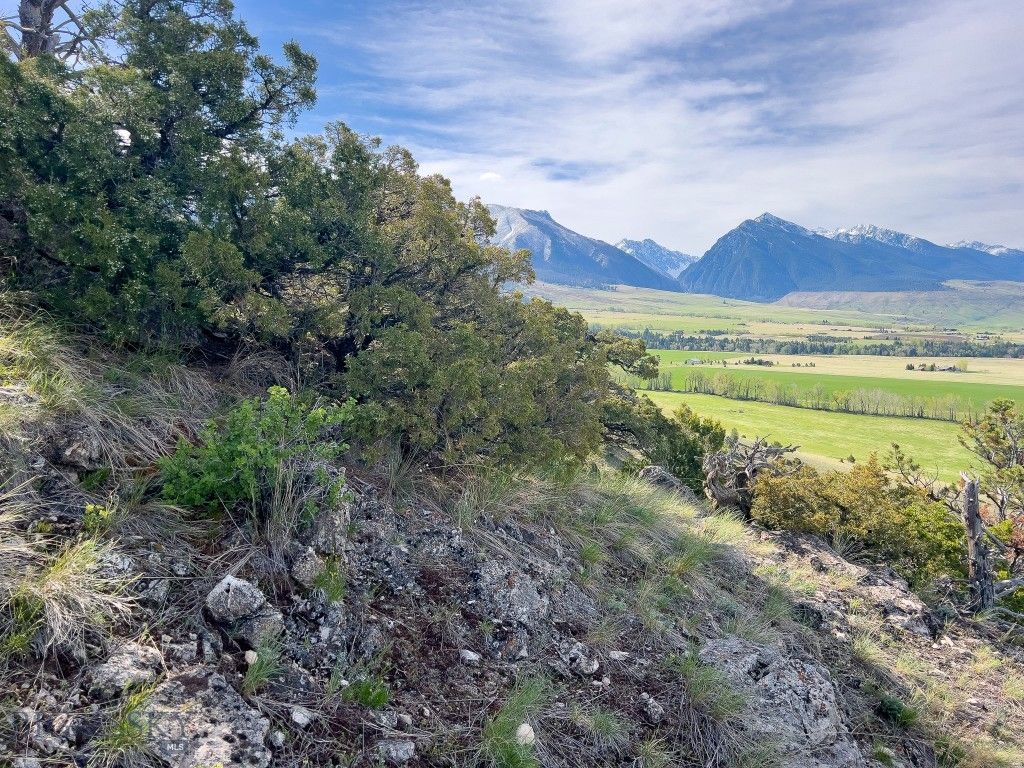 NHN Suce Creek Road, Livingston, MT 59047 photo 12