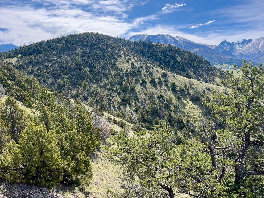 NHN Suce Creek Road, Livingston, MT 59047 photo 13