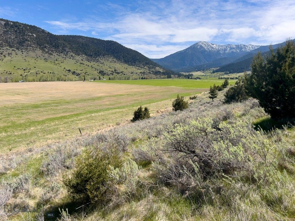 NHN Suce Creek Road, Livingston, MT 59047 photo 17