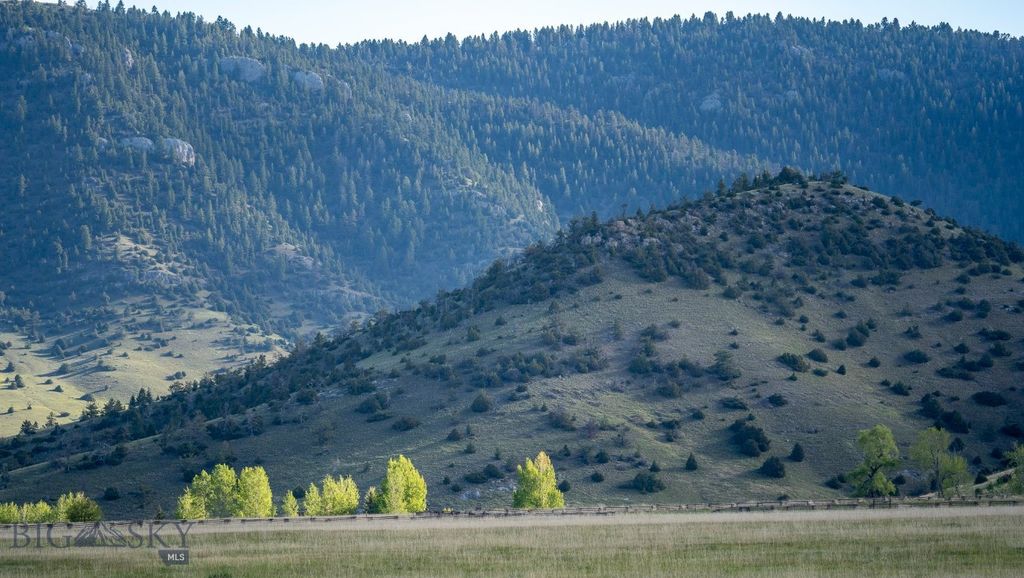 NHN Suce Creek Road, Livingston, MT 59047 photo 18