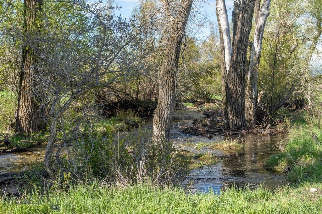 NHN Suce Creek Road, Livingston, MT 59047 photo 26