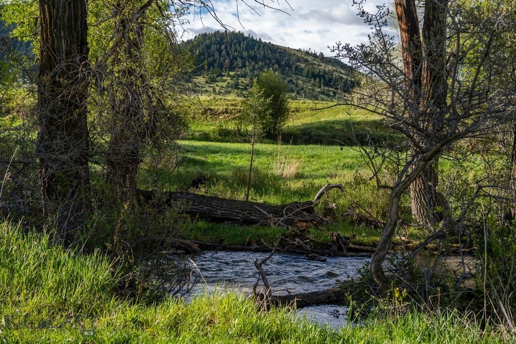 NHN Suce Creek Road, Livingston, MT 59047 photo 27