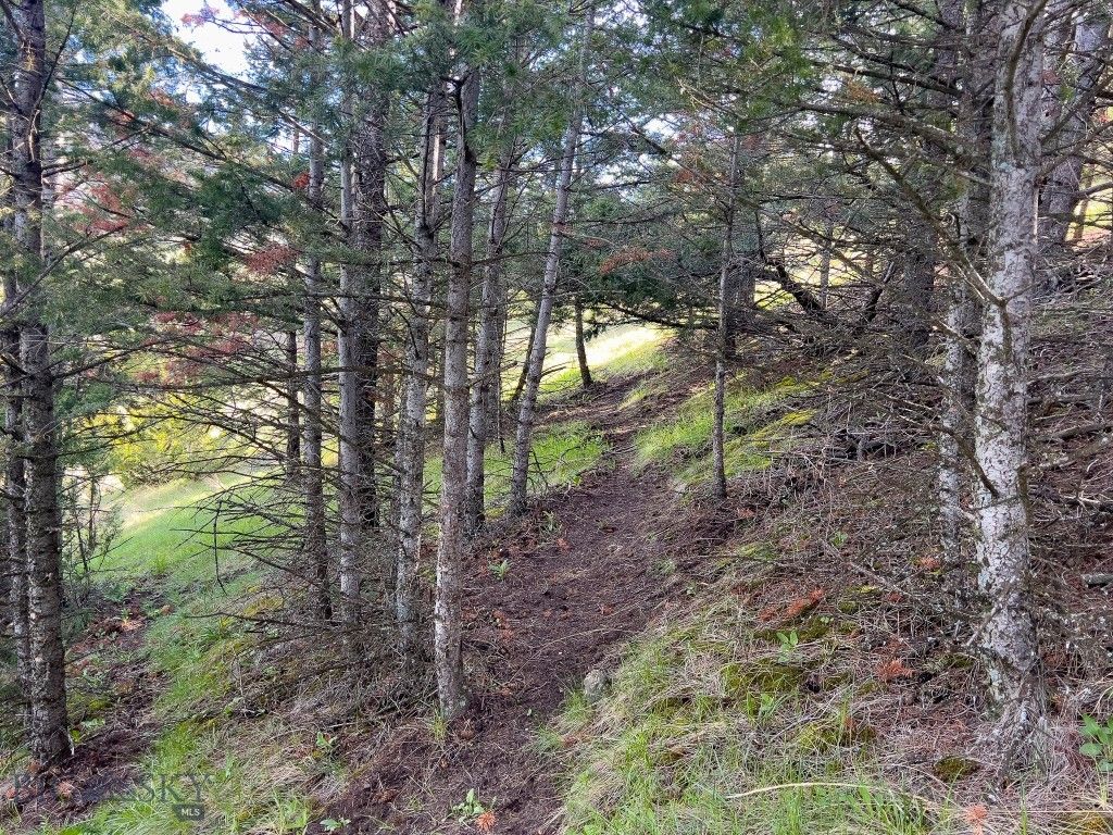 NHN Suce Creek Road, Livingston, MT 59047 photo 9