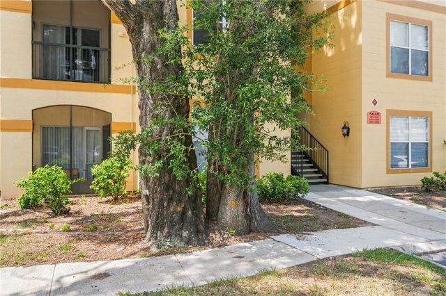 5618 PINNACLE HEIGHTS CIRCLE 206, Tampa, FL 33624