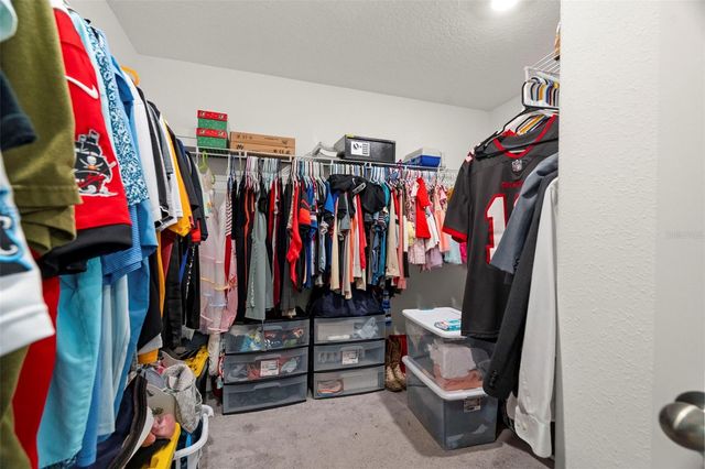 6601 RAINBOW SPRINGS LANE, New Port Richey, FL 34653