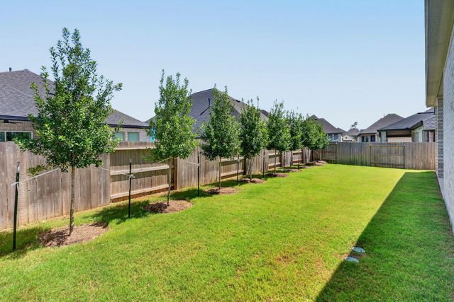 40028 Belted Kingfisher Court, Magnolia, TX 77354