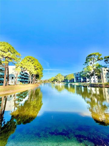 5970 80TH STREET N 411, St Petersburg, FL 33709